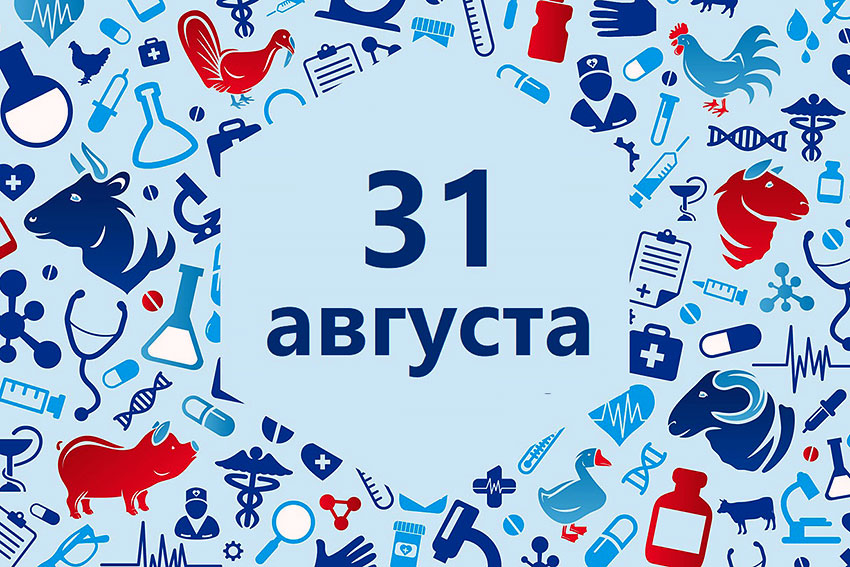С днем ветврача картинки
