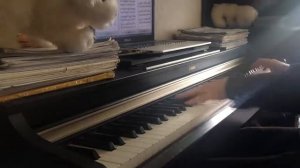 Актриса 'НЕЖНОСТЬ' Юрий Весняк