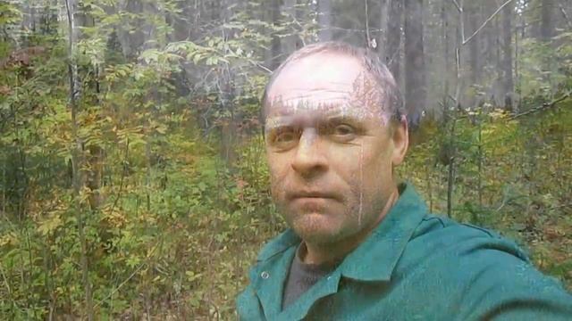 Прогулка по осеннему лесу//Пещера и утесы//СТРАННЫЙ ЗВУК В ЛЕСУ?????//деревенские будни смотреть онлайн