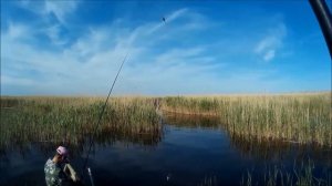 Рыбалка на реке Ея, ловим краснопёрку.