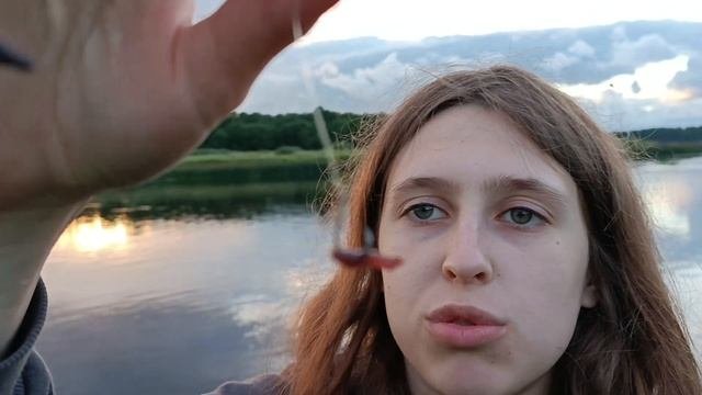 летний влог (или лето в лесу))