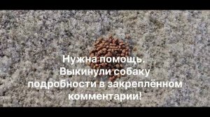 Не проходите мимо!