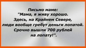 Письмо маме: "Мама, я живу хорошо. Здесь, на Крайнем Севере,... Анекдоты до слез.  182