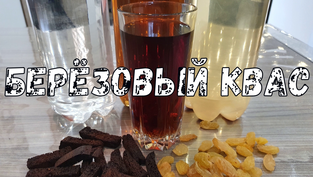 Квас из березового сока. Квас в домашних условиях