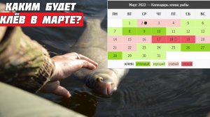 Календарь клёва рыбы на Март. Прогноз клева рыбы на Март. Лунный календарь клёва рыбы на Март 2022