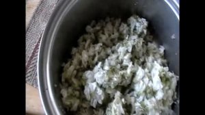 Едим и Заготовляем цветы Акации/Робинии на зиму. Preparing acacia/Robinia flowers for the winter.