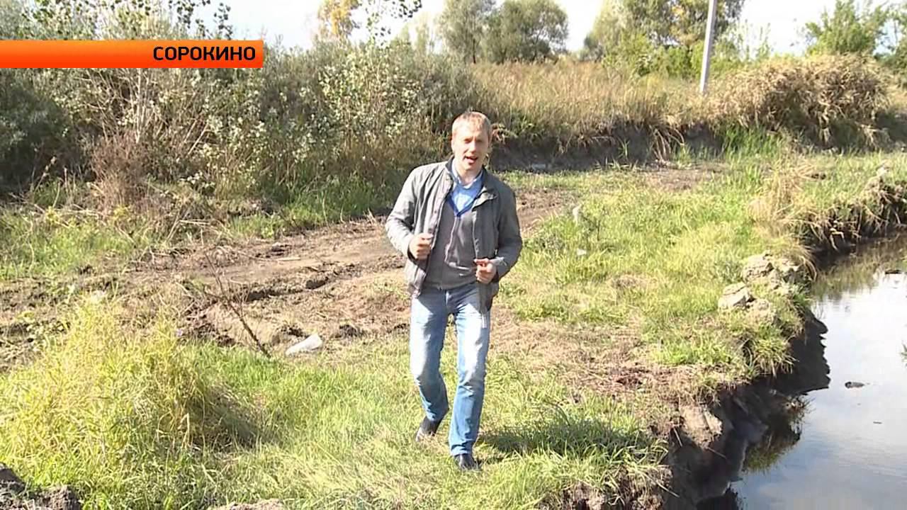 Бийск сорокино. Посёлок Сорокино г.Бийск. Пос Сорокино Бийск. П.Сорокино г.Бийск. Население посёлок Сорокино Бийск.