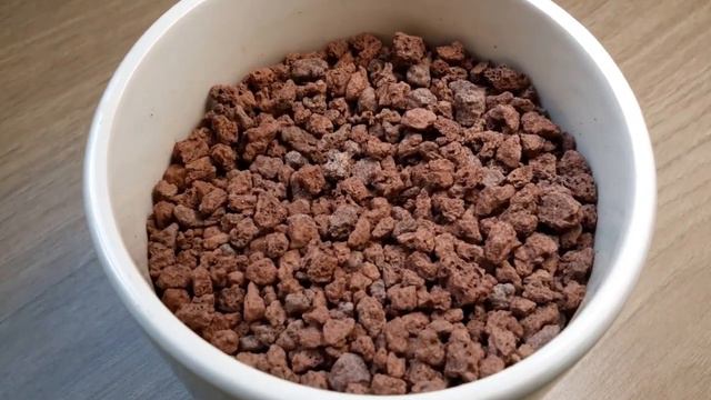 SEMPERVİVUM BAKIMI- TÜR ve İSİMLERİ -Donmayan Sukulent Damkoruğu (Spidêli) -Joubarbe Hens and Chick смотреть онлайн