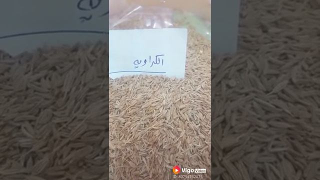 فوائد الكراوية