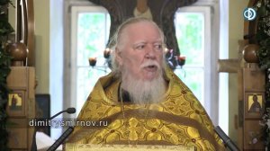 Протоиерей Димитрий Смирнов. Проповедь о болезнях, грехах и милости Божией