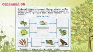 Кто что есть. Рабочая тетрадь. Окружающий мир 3 класс.