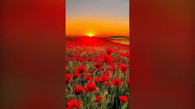 Приятные воспоминания! Позитив смотреть онлайн