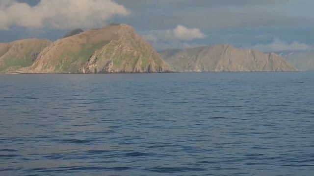 Очень красивое видео о природе! Bad guy смотреть онлайн