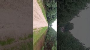 Эко-отель "Веточка"