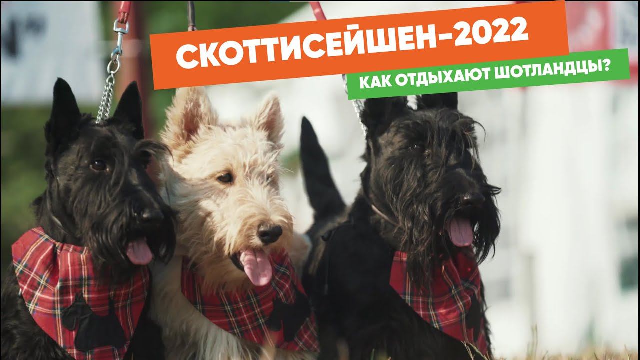 СКОТТИСЕЙШЕН 2022. Как отдыхают шотландцы?