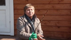 Яблоня, Как выбрать саженец? Советы от эксперта Хитсад