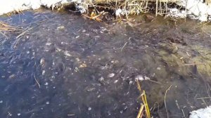 База отдыха «Аква-Хаус»