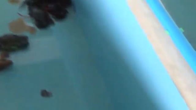 Аренда машин в Таиланде и наши приключения смотреть онлайн