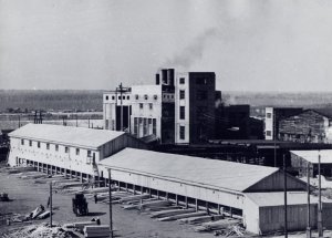 "ПОБЕДНАЯ ПОСТУПЬ"