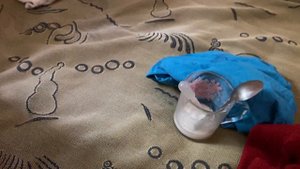 Чем подкармливать месячных котят//Сколько должен есть месячный котёнок
