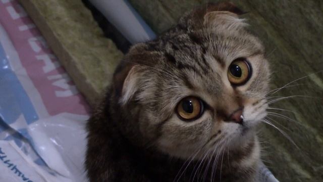 ЧЕМ РЕЗАТЬ УТЕПЛИТЕЛЬ  (КАМЕННУЮ и МИНЕРАЛЬНУЮ вату)