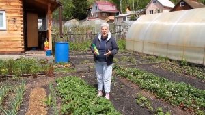 135 Обработка земляники от долгоносика