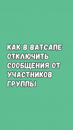 Как в Ватсапе ОТКЛЮЧИТЬ СООБЩЕНИЯ от УЧАСТНИКОВ ГРУППЫ