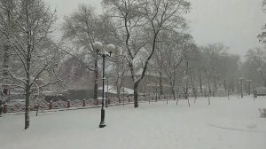 Снегопады.Донецк