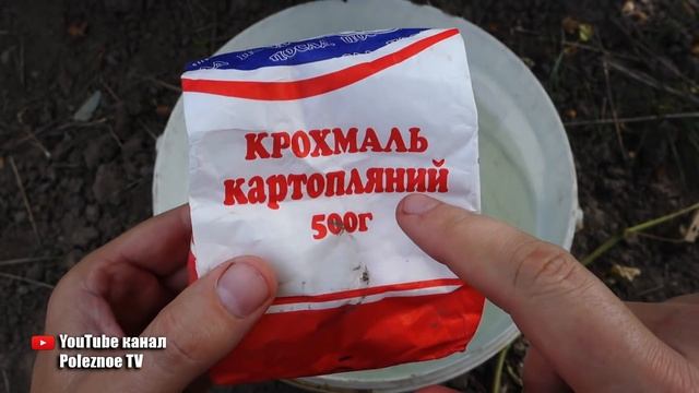 КОРМЛЮ ЭТИМ СМОРОДИНУ ДО НАЧАЛА СОЗРЕВАНИЯ ОНА БУДЕТ КРУПНОЙ И СЛАДКОЙ смотреть онлайн