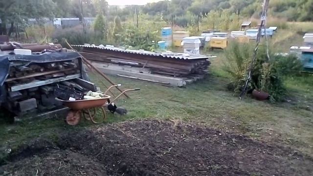 Цесарки забияки смотреть онлайн