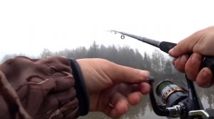 Рыбалка на донку / закидушку. Сумасшедшая река! Бешеный клeв и отличный улов!