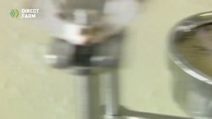 Козья ферма в Нидерландах 0+