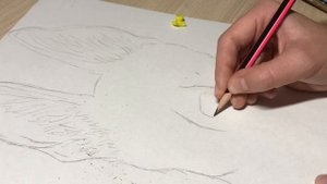 Как нарисовать овчарку?! Мастер-класс.