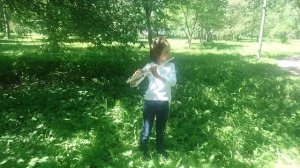 "Немецкий танец"  Бетховен #флейта