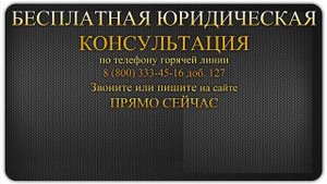 Конституция РФ. Статья 91.