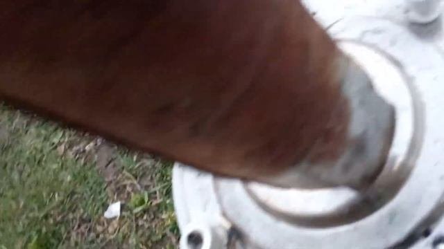 Строптивый самовар ? Самовар на дровах.