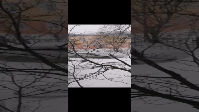 Весна на Сахалине