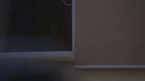 Автофокус-Тест 2-Canon EOS C100-объективы Canon EF