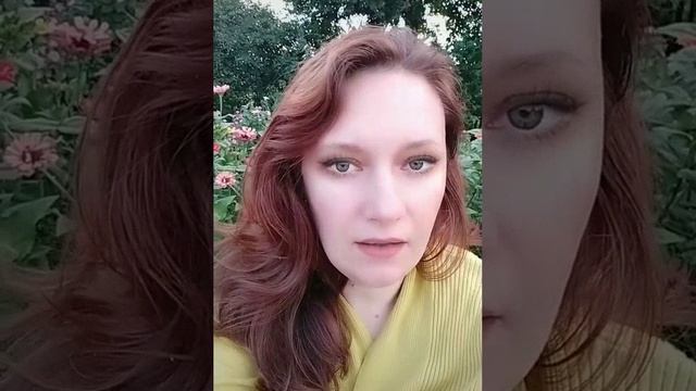 Кто такой сетевик.Нет ЛТО.