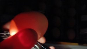 Как правильно проводить овоскопирование инкубационного яйца.