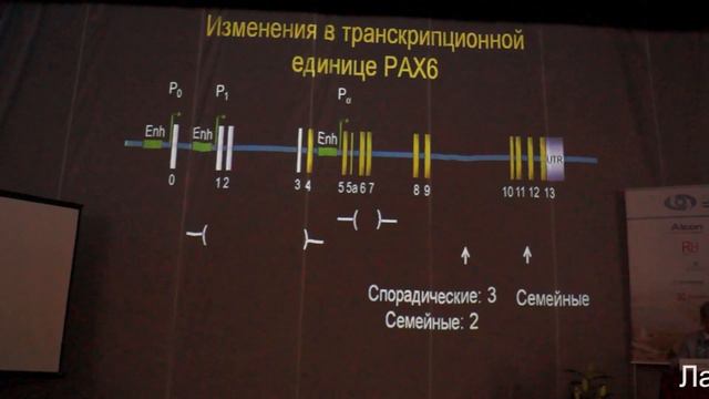James D Lauderdale_Лаудердейл Джеймс_Чебоксары 2-3 июля 2015 г. смотреть онлайн