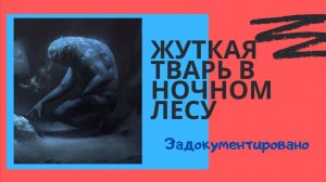 ЖУТКОЕ СУЩЕСТВО в ночном лесу ( история на день )