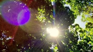 ИНДИВИДУАЛЬНЫЙ ПОДХОД. Как ускорить процесс переориентации глобалистских объединений на те, которые