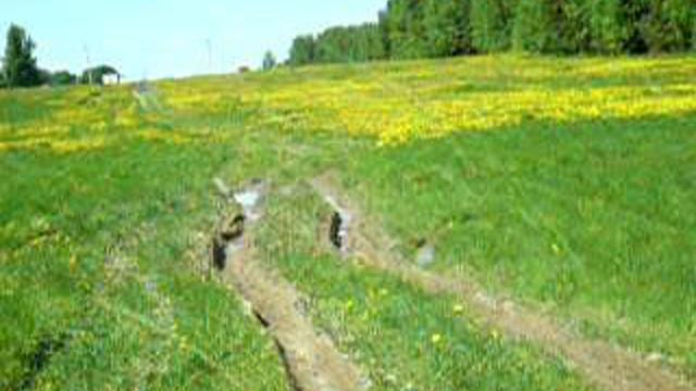 соскино7 смотреть онлайн