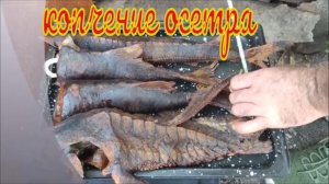 Копчение осетра. Готовим просто,