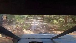 Самодельная багги БРП Майверик Х3 BRP Maverick X3