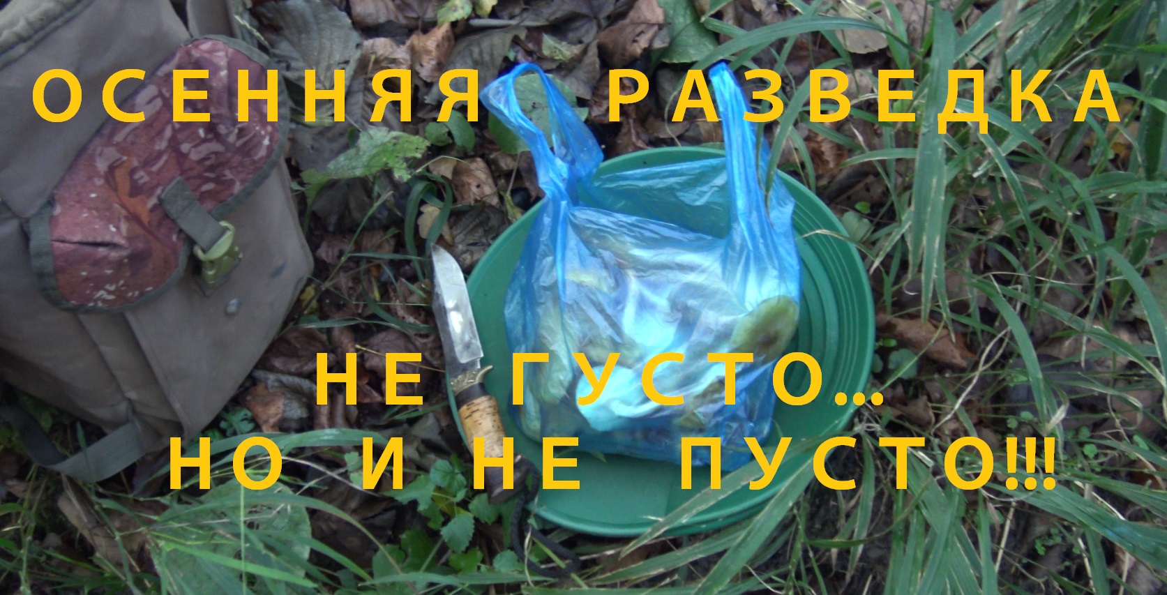 Осенняя разведка! Не густо, но и не пусто! смотреть онлайн