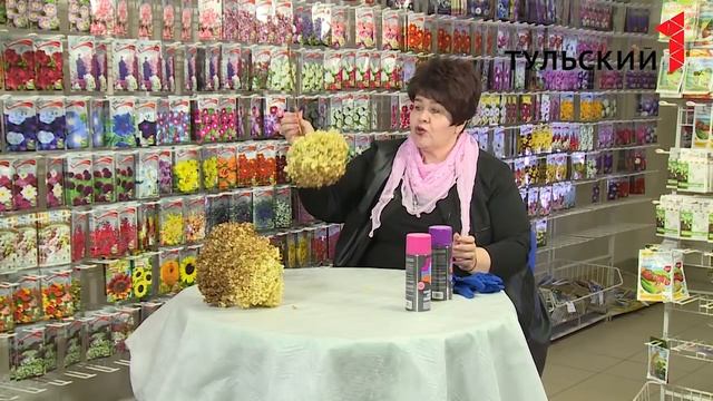 Cухоцветы из гортензий