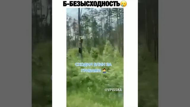 Сходил блин за грибами