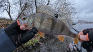 МАЛЕНЬКАЯ ДЖИГА и ТОЧКА | Ловим на Москва реке ! Рыбалка Осенью 2022.